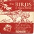 Wild birds of North America (1)