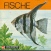 Fischleben