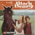 Avonturen van Black Beauty