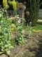 2009 - 0185w.jpg
